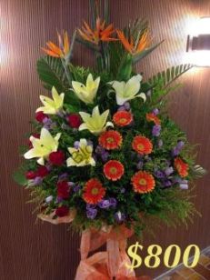 Mixed Flower Arrangement - A Standard CODE 21977